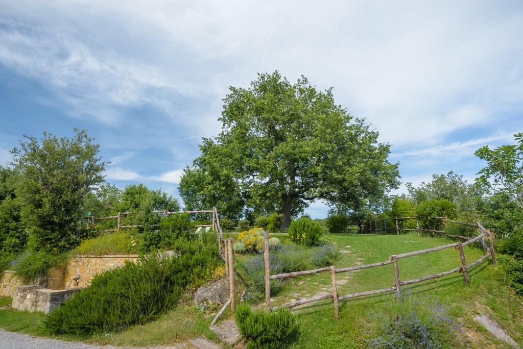 Agriturismo Cerreto Пиенца Экстерьер фото